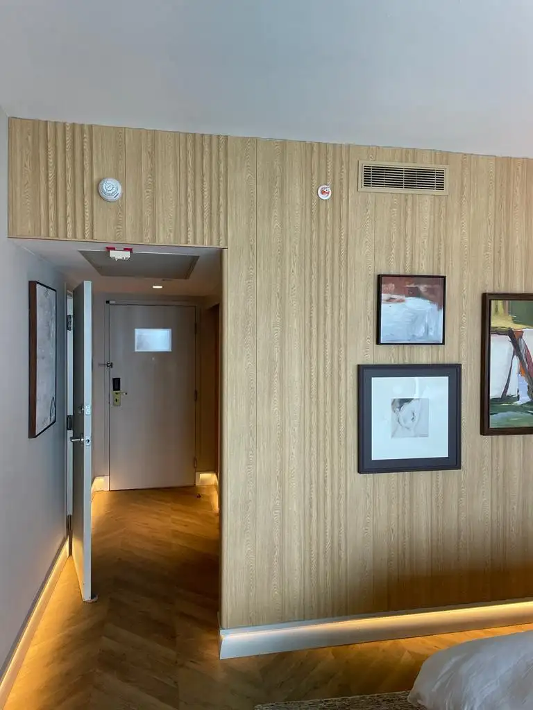 Wall finish and doorway detail